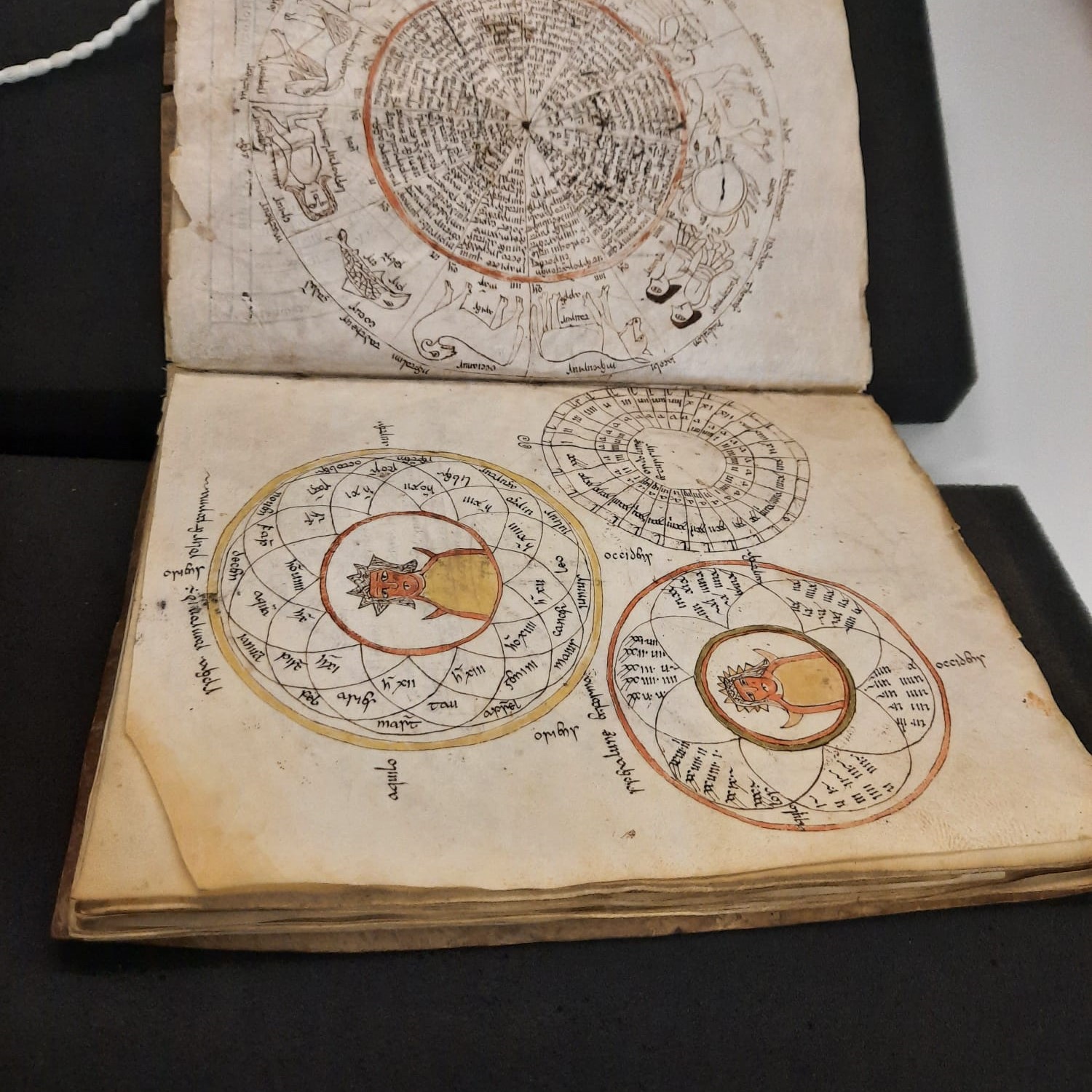 Astro-chronologische Diagramme in der Handschrift (Basel, UB, Cod. F III 15a, fol. 22v-23r). Foto: Aletta Leipold