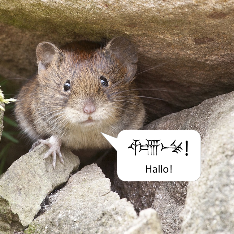 Teaserbild einer Nachricht