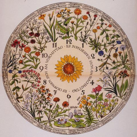 Teaserbild einer Veranstaltung