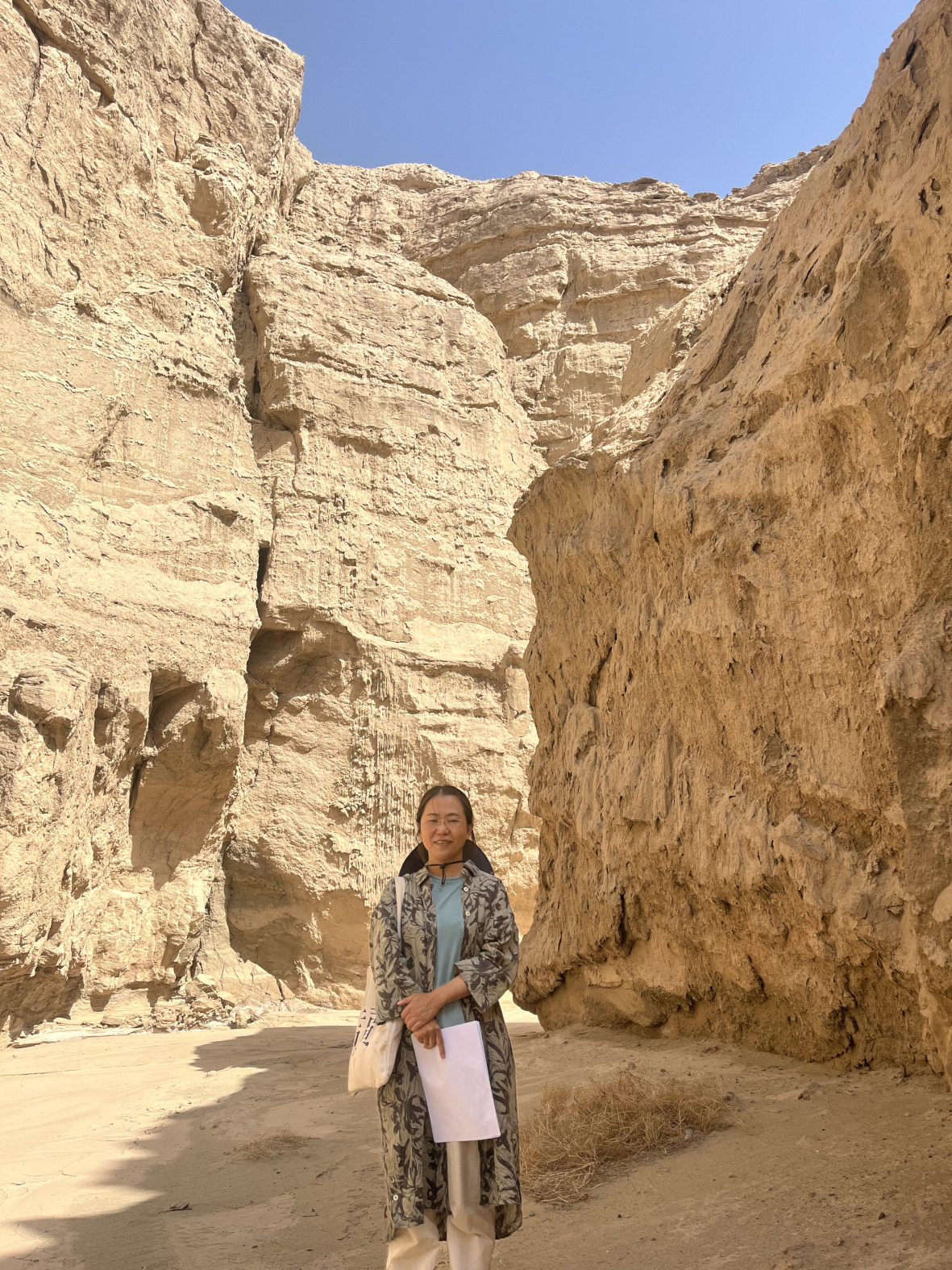 Prof. Yoko Nishimura